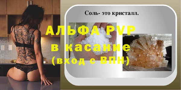шишки Сатка